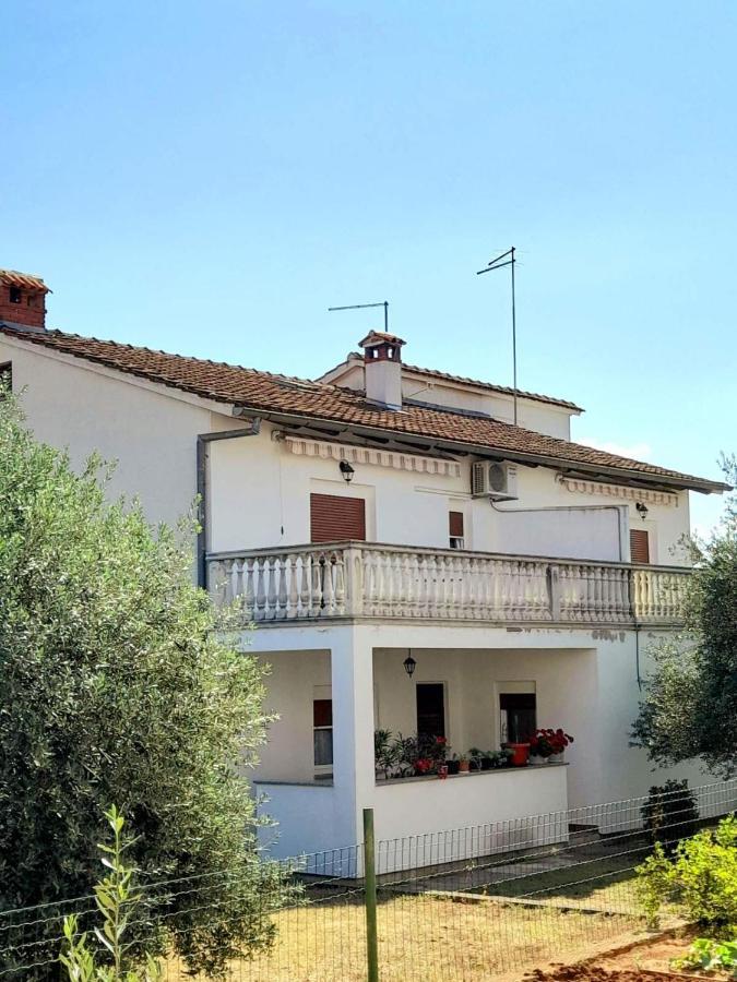 Homestay szállás Studio Bogdan Rovinj